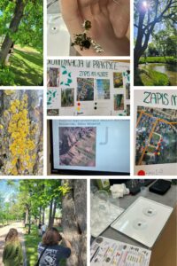 Zdjęcia z projektu badawczego:uczniowie w parku i park oraz porosty.